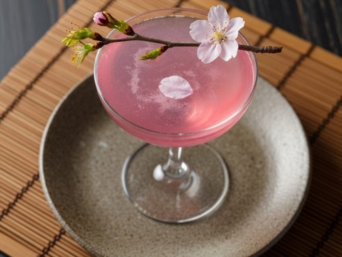 Sakura Blossom Dream